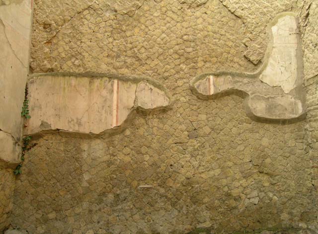 Ins. Orientalis II.4, Herculaneum, June 2005. Detail of wall on north side of doorway/window of room. 
Photo courtesy of Nicolas Monteix.
