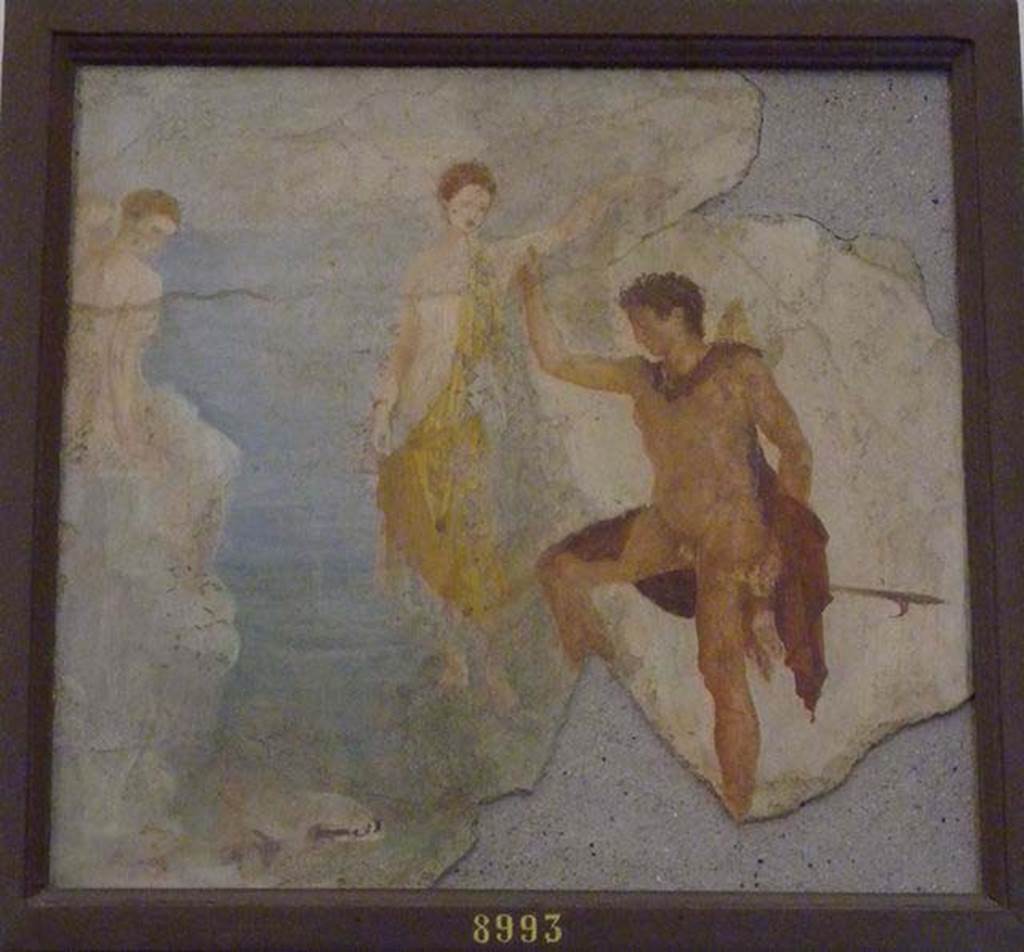 Ins. Orientalis II.4, 19 Herculaneum. Painting found in February 1761.
Now in Naples Archaeological Museum. Inventory number 8993.
