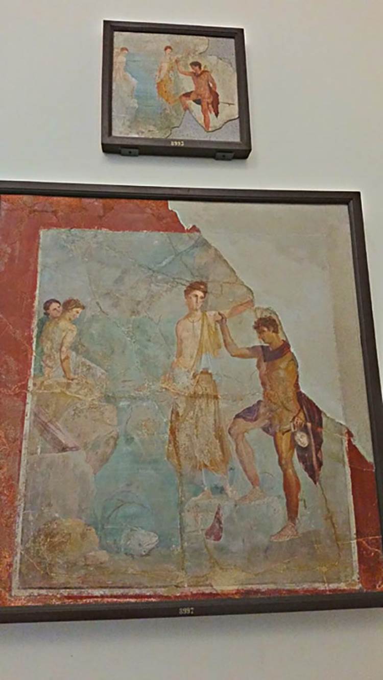 Ins. Orientalis II.4/19 Herculaneum. Small painting, above, found in February 1761.
Now in Naples Archaeological Museum. Inventory number 8993.
Below is a similar painting, (inv. 8997) found in VII.16.10 at Pompeii. Photo courtesy of Giuseppe Ciaramella, November 2018. 
