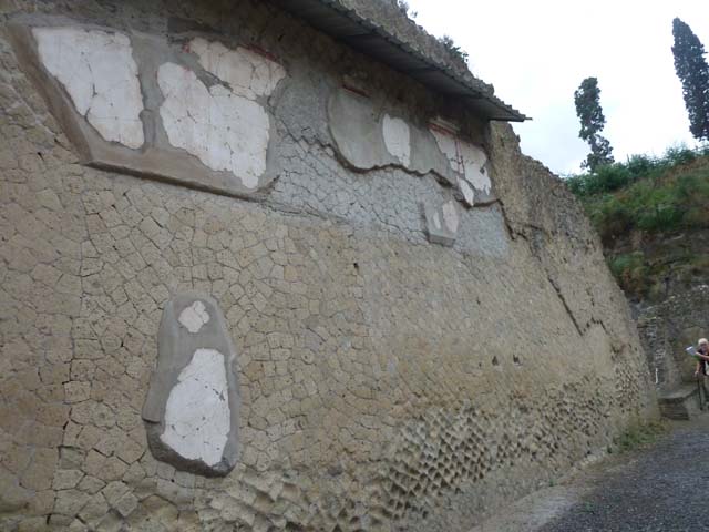 Ins. Orientalis II 4, Herculaneum, October 2012. North wall of large entrance hall.
Photo courtesy of Michael Binns.
