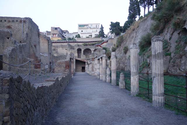 Ins. Orientalis II.4, Herculaneum, June 2005. 
Looking west across large terraced area to wall between two rooms on north side of entrance hall.
Photo courtesy of Nicolas Monteix.
