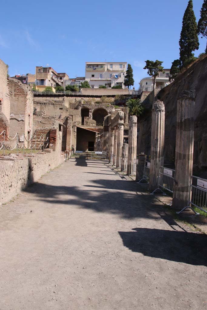 Ins. Orientalis II.4, Herculaneum, September 2019. Looking north across west portico.
Photo courtesy of Klaus Heese.

