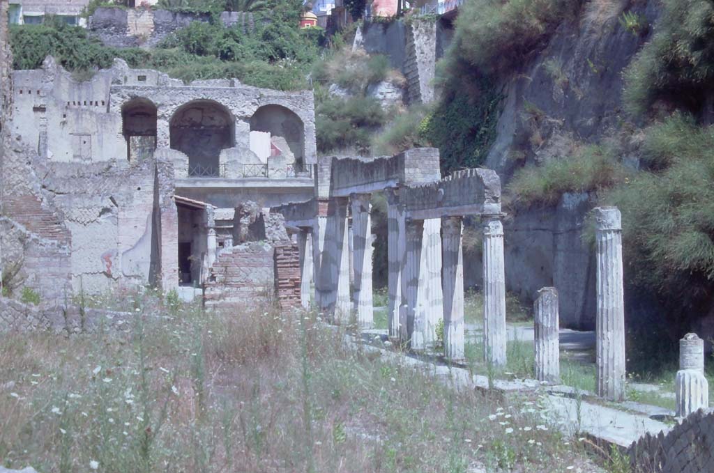 Ins. Orientalis II.4, Herculaneum, 7th August 1976. Looking north across large terraced area from east end of large entrance hall.
Photo courtesy of Rick Bauer, from Dr George Fay’s slides collection.
