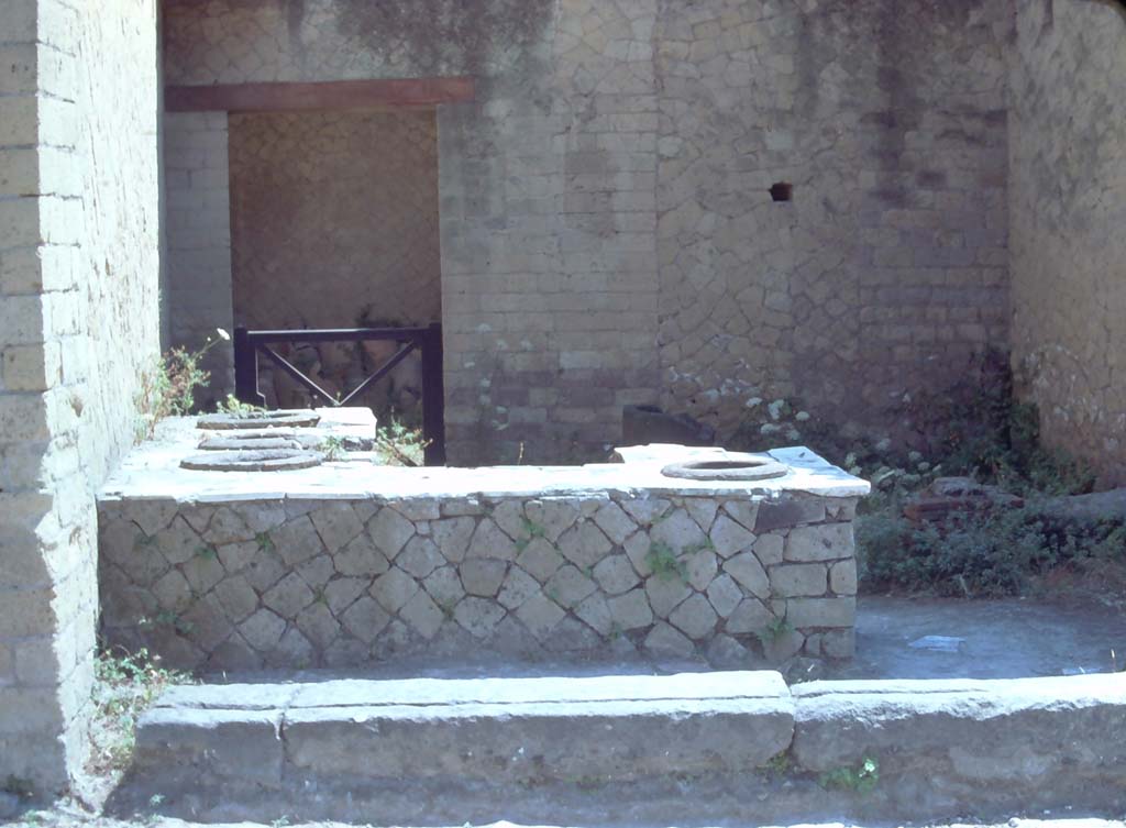 Ins Or II, 6, Herculaneum. 7th August 1975. General view across counter, looking east. 
Photo courtesy of Rick Bauer, from Dr George Fay’s slides collection.

