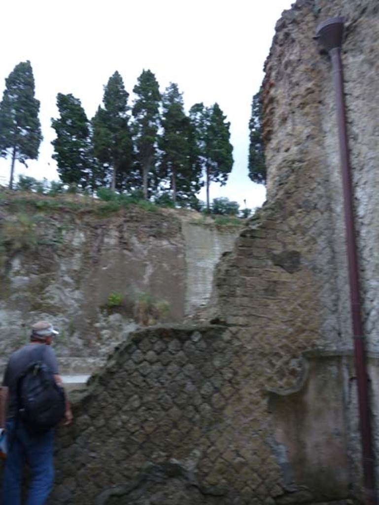 Ins. Orientalis II.10, Herculaneum. September 2015. East wall of rear room (b).