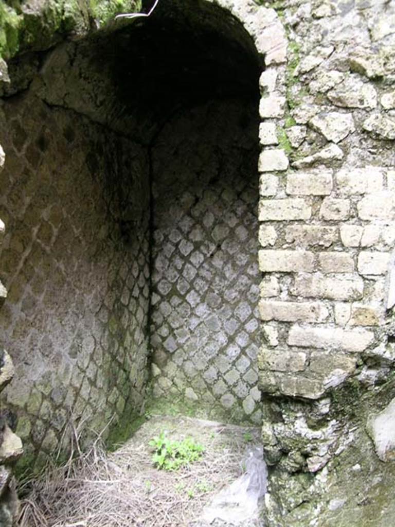 Ins Or II, 15, Herculaneum. May 2004. Rear room, detail from vaulted area near west wall, south side.  
Photo courtesy of Nicolas Monteix.
