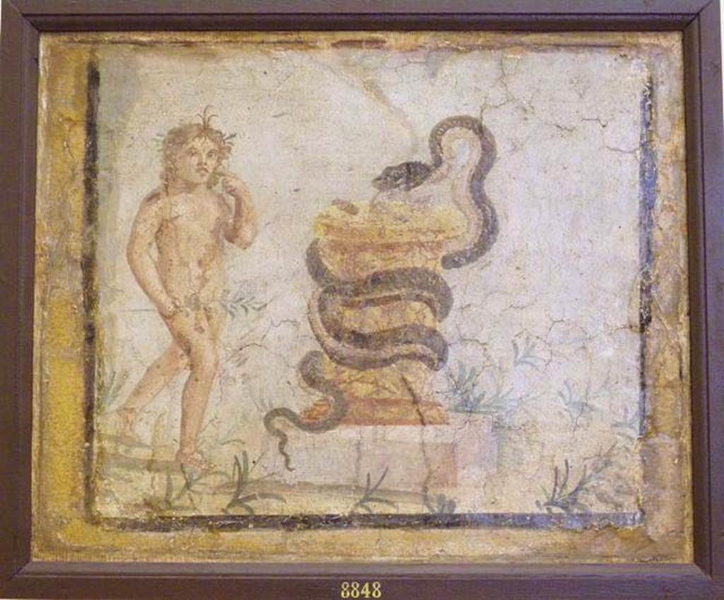VI.26 Herculaneum? Lararium painting found 21st December 1748 by the Bourbon tunnellers. 
Naked Harpocrates on the left of a yellow marble altar, the altar entwined with a serpent approaching the offerings.
Now in Naples Archaeological Museum. Inventory number 8848. 
According to Frohlich –
This painting was found on November 21, 1748, near house IV.21 Casa dei Cervi. 
Dimensions: H 0.38 m; W 0.42 m. Some small missing parts, otherwise good. 
Fröhlich’s description is of a 
“White-ground, black-framed picture in yellow plaster surface. 
In the middle of the picture, a snake winds around a round altar and consumes the offerings lying on it. 
Harpocrates approaches from the left, emblazoned with a lotus leaf over his forehead, a branch in his lowered right hand, his left hand leading it to his mouth. 
A rock is indicated on the left edge of the picture. Green grass and perennial plants stand on the ground. 
To the right of the snake, the inscription Genius huius loci montis was once painted. The picture probably comes from a house shrine or from a façade”. 
Dating: Fourth style.
See Fröhlich, T., 1991. Lararien und Fassadenbilder in den Vesuvstädten. Mainz: von Zabern, (p. 303, L121, Pl.13,2)
According to Pagano & Prisciandaro, this lararium painting was found in the kitchen of VI.26?
See Pagano, M. and Prisciandaro, R., 2006. Studio sulle provenienze degli oggetti rinvenuti negli scavi borbonici del regno di Napoli.  Naples: Nicola Longobardi. (p.205).
Other references AdE, I, 36, 207, Diario 267, St.Erc.104. CIL IV 1176.
A note says “The space of the cut seems to coincide with that of the plaster of the kitchen of the House of the Tuscan Columns” see F. De Salvia in Hommages a J. Leclant, III, 1994, pp.145 onwards.
According to Rocco, “the incision made in the 1700’s of this painting in the Pitture di Ercolano recorded the inscription, next to the altar, the phrase Genius huius loci montis:  it was believed that the serpent was the protector of the places where it lurked”.
See Bragantini, I and Sampaolo, V., Eds, 2009. La Pittura Pompeiana. Verona: Electa. (p.430, no.223).


