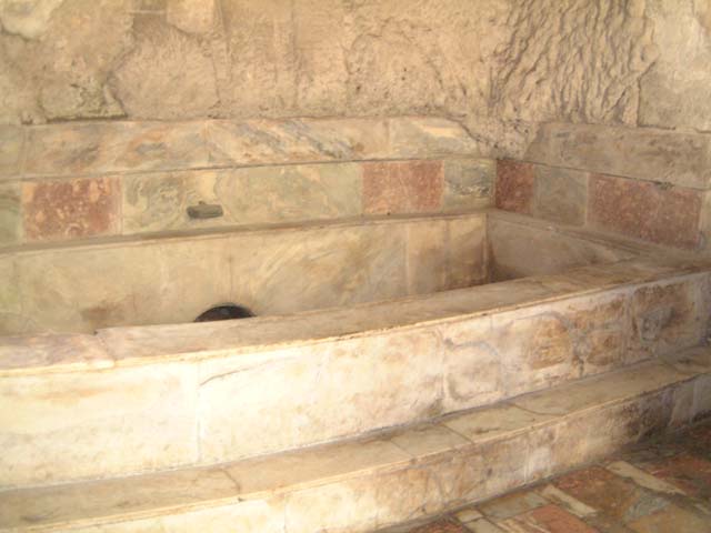 Suburban Baths, Herculaneum. April 2008. Detail of decoration on west wall of original caldarium.
Photo courtesy of Nicolas Monteix.
