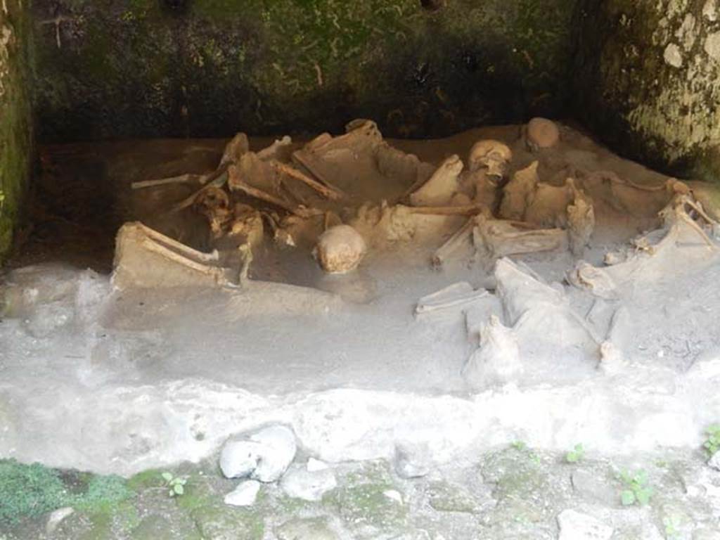 Beachfront, Herculaneum, May 2018. Boatshed 1, detail of some of the skeletons of fugitives. Photo courtesy of Buzz Ferebee.