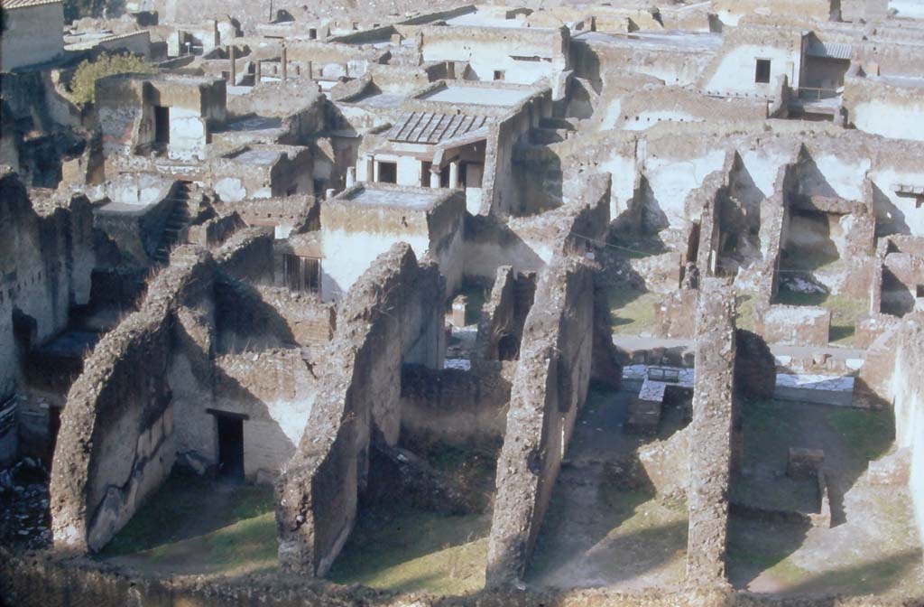 Herculaneum, rear of Ins. Or. II, 4th December 1971, 
(starting from left) - rear room of Ins. Or. II.10, rear room of Ins. Or. II.11,
rear room of Ins. Or. II.13, behind Ins. Or. II.12 (in centre).
Looking through Ins. Or. II.13 across counter with glass display case towards the roadway Cardo V, and looking through Ins. Or. II.14 to roadway, on right. 
Photo courtesy of Rick Bauer, from Dr George Fay’s slides collection.
