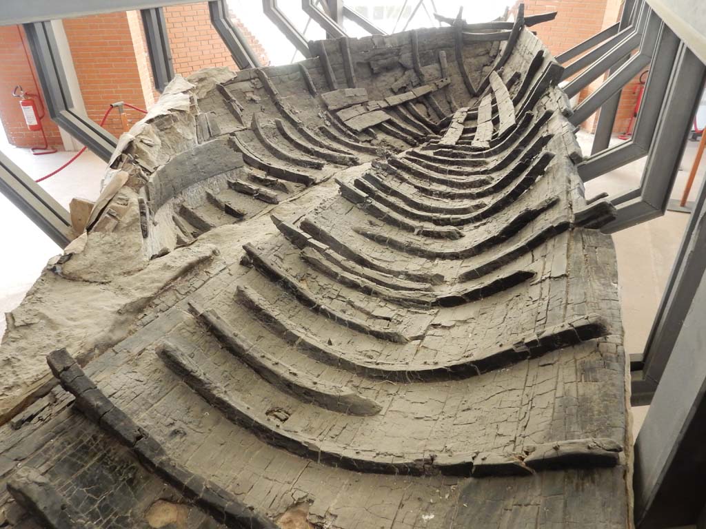 Herculaneum, June 2019. Carbonised wooden boat found on 3rd August 1982 on the ancient beachfront. Photo courtesy of Buzz Ferebee.