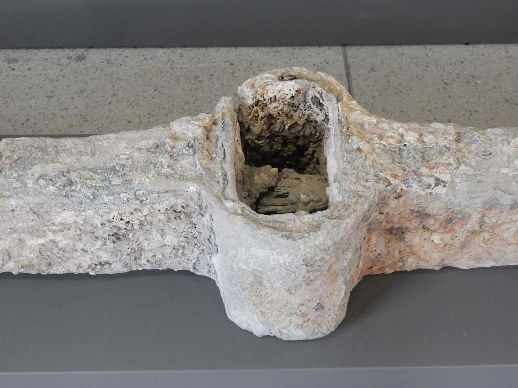 Beachfront, Herculaneum, June 2019. Anchor with lead anchor stock, found in the sea in front of the seashore.
Now on display with the boat exhibit. Photo courtesy of Buzz Ferebee.
