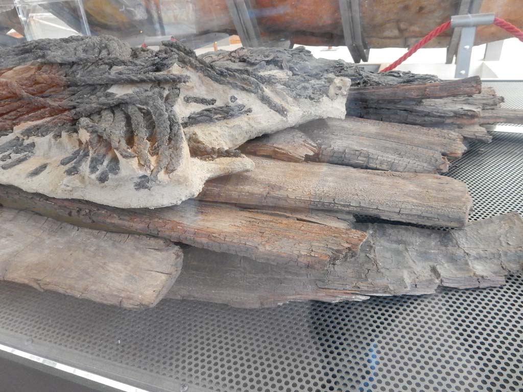 Herculaneum, June 2019. 
Found in the SW Baths Complex in the Insula Occidentalis, a coil of rope on top of wooden planking.
Photo courtesy of Buzz Ferebee.
