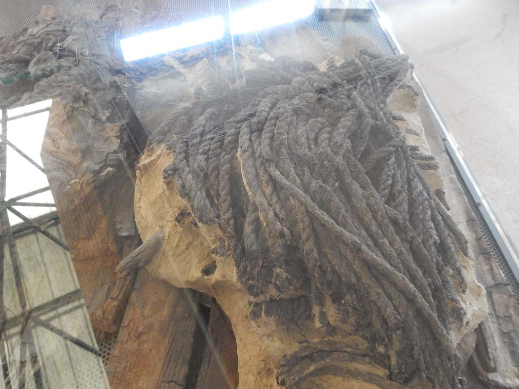 Herculaneum, June 2019. Coil of rope found in the SW Baths Complex in the Insula Occidentalis.
The rope was found on top of some wooden planking, probably belonging to a boat that had been dismantled in the Roman period.
Various layers of leather had been placed on top of the rope, some of which preserves signs of stitching. 
Photo courtesy of Buzz Ferebee.
