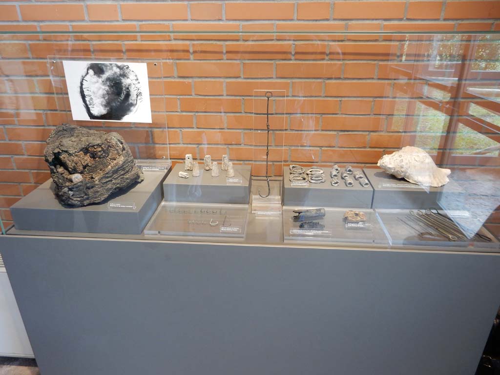 Herculaneum, June 2019. Exhibition of finds in display case. Photo courtesy of Buzz Ferebee.