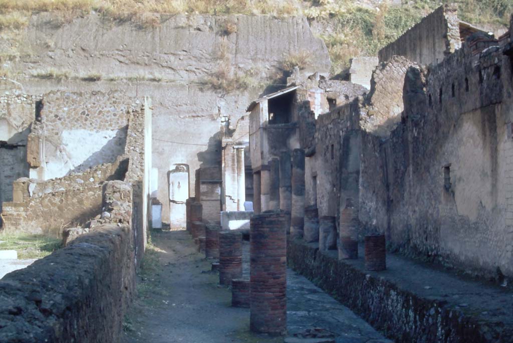 Cardo IV Superiore, Herculaneum. Looking north along Cardo IV Superiore towards Insula V., during excavations.1935.  Photo by Fratelli Alinari (I.D.E.A.). Alinari No 43312.  V.6, the doorway to the wine/food shop is on the right.  V.7, the doorway to Casa di Nettuno e Anfitrite or House of Neptune and Amphitrite and upper floor, is in the centre.  V.8, is the area still being excavated beneath props holding wall up, on left.  Used with the permission of the Institute of Archaeology, University of Oxford. File name instarchbx116im012 Resource ID 42241.

