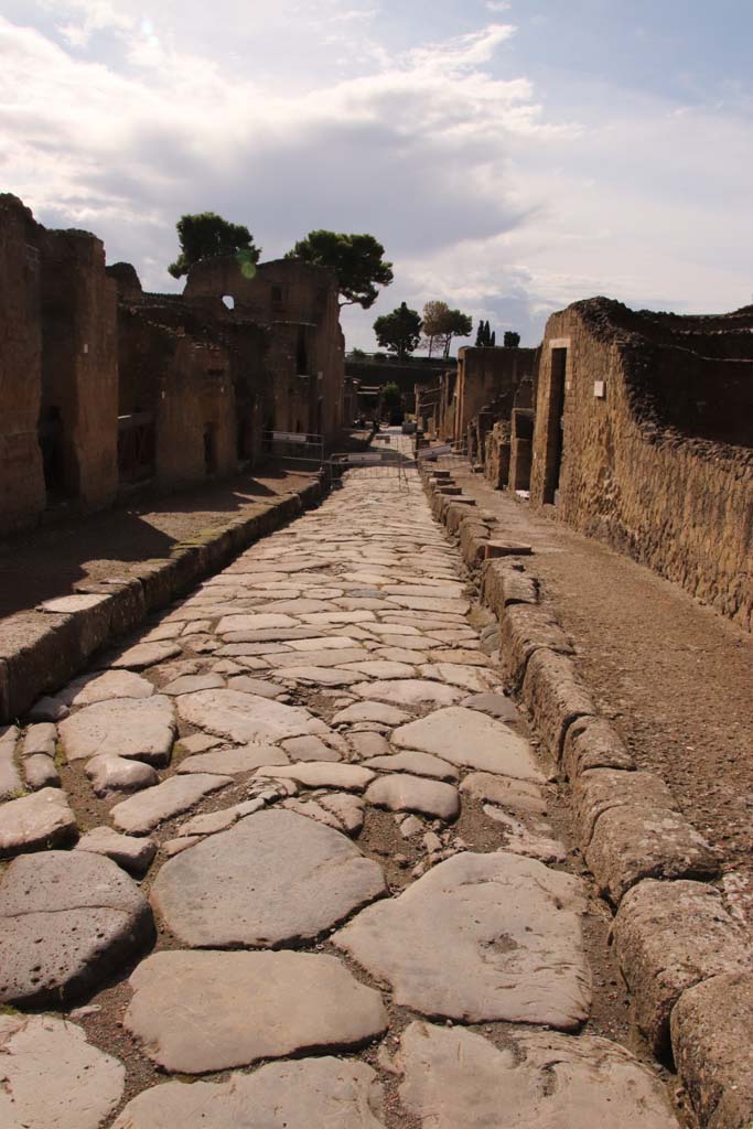 Cardo V, on left, Herculaneum, October2020, in the year of the pandemic.   
Looking south down Cardo V, from its junction at the north end with Decumanus Maximus.   
Photo courtesy of Klaus Heese.
