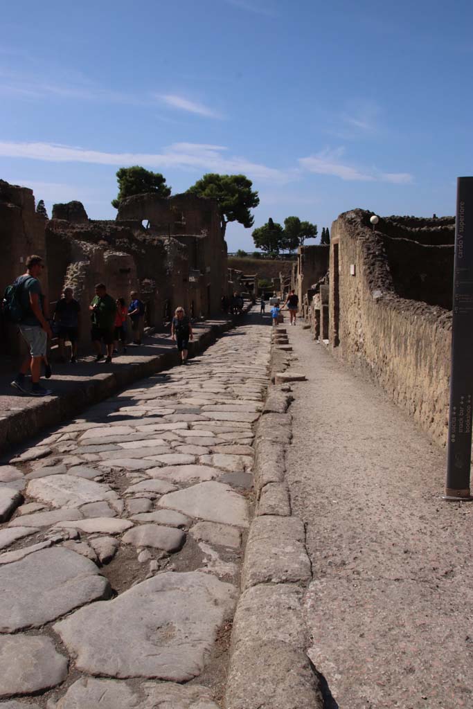 Cardo V, on left, Herculaneum, September 2019.  
Looking south down Cardo V, from its junction at the north end with Decumanus Maximus.   
Photo courtesy of Klaus Heese.
