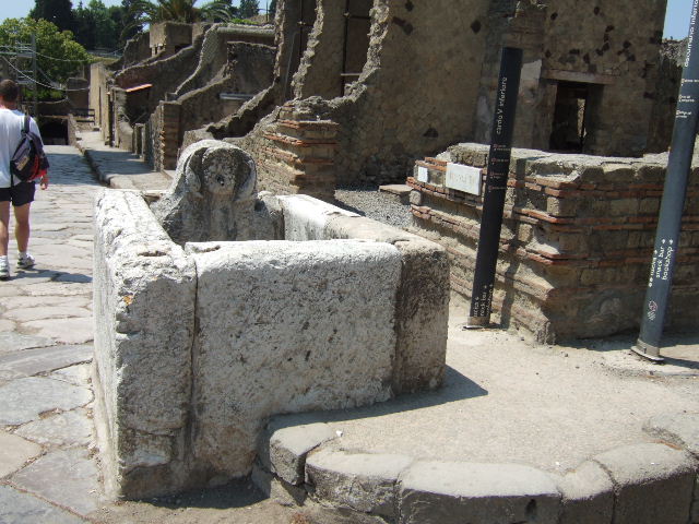 Ins. Orientalis II 1, Herculaneum, September 2015. Drain under pavement on east side of Cardo V Inferiore.