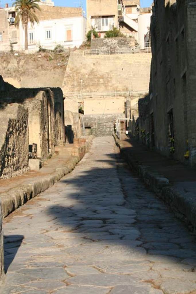 Cardo V, Herculaneum. October 2020, in the year of the pandemic.
Looking north from entrance roadway. Photo courtesy of Klaus Heese.
