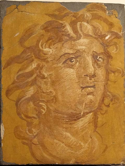 Ercolano Casa vicino al Teatro or Herculaneum House near the Theatre or Villa dei Papiri.
Second fresco of head of Medusa, with wild hair and wings sprouting from the forehead.
Now in Naples Archaeological Museum. Inventory number 8821a.
According to the MANN catalogue it is with the face of Triton rather than Gorgon.
See Borriello M. R., Sampaolo V., et al, 1986. Le Collezioni del Museo Nazionale di Napoli. Roma: De Luca Editore, no. 244, p. 157-7.


