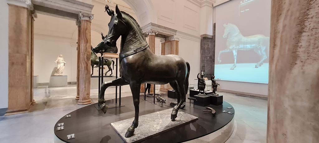 Herculaneum, April 2023. Mazzocchi horse side view. 
On display in “Campania Romana” gallery in Naples Archaeological Museum, inv. 4904. Photo courtesy of Giuseppe Ciaramella.

