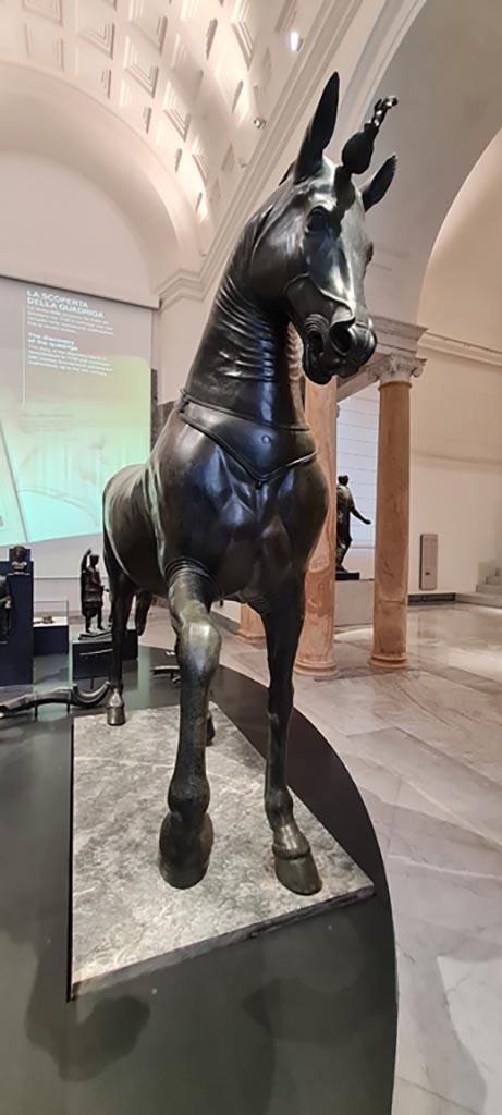 Herculaneum, April 2023. Mazzocchi horse front view.
On display in “Campania Romana” gallery in Naples Archaeological Museum, inv. 4904. 
Photo courtesy of Giuseppe Ciaramella.

