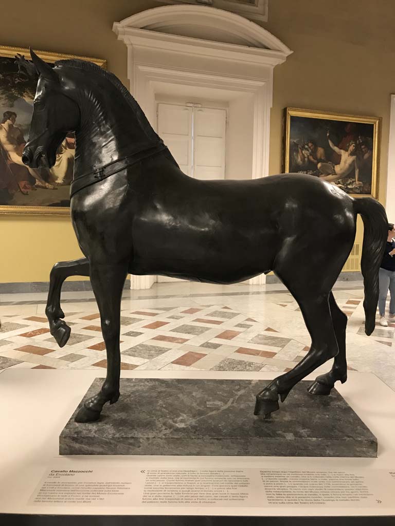 Herculaneum Theatre. April 2019. Mazzocchi horse found in May 1739, side view.
Now in Naples Archaeological Museum. Inventory number 4904.
Photo courtesy of Rick Bauer.
