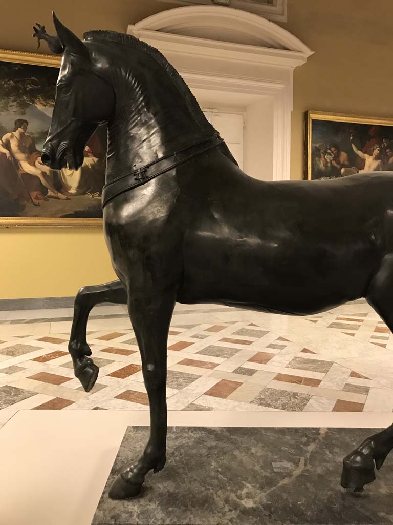 Herculaneum Theatre. April 2019. Detail of Mazzocchi horse found in May 1739.
Now in Naples Archaeological Museum. Inventory number 4904.
Photo courtesy of Rick Bauer.
