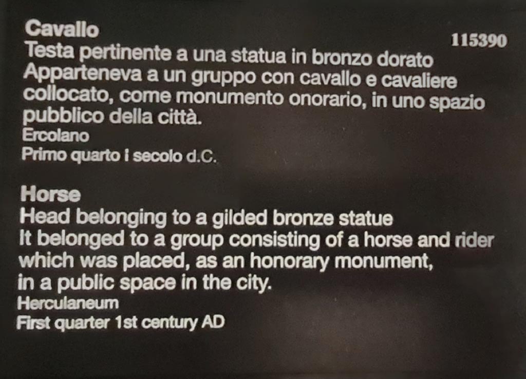 Herculaneum, April 2023. Descriptive card. Photo courtesy of Giuseppe Ciaramella.
