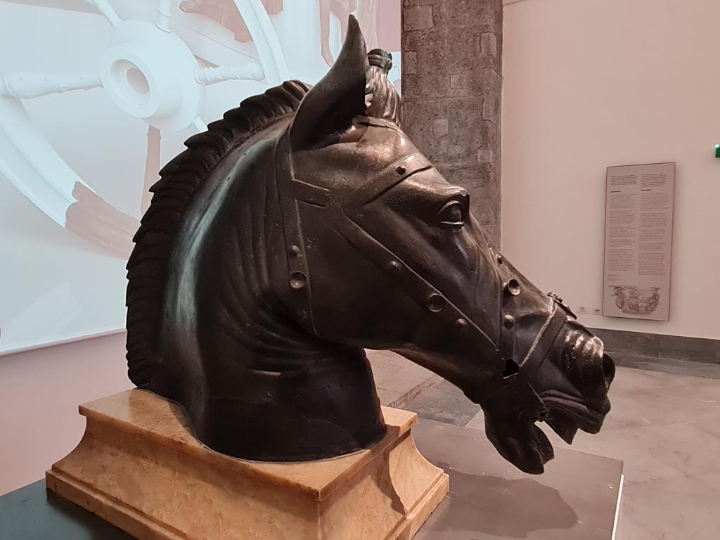 Herculaneum, April 2023. 
Side view of horse’s head belonging to a gilded bronze statue, inv. 115390, from a public space in the city. Photo courtesy of Giuseppe Ciaramella.

