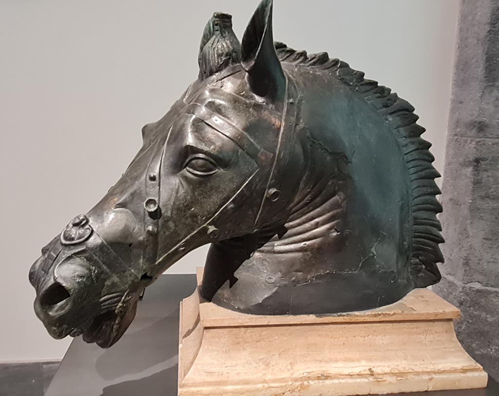 Herculaneum, April 2023. 
Second side of horse’s head belonging to a gilded bronze statue, inv. 115390, from a public space in the city. Photo courtesy of Giuseppe Ciaramella.

