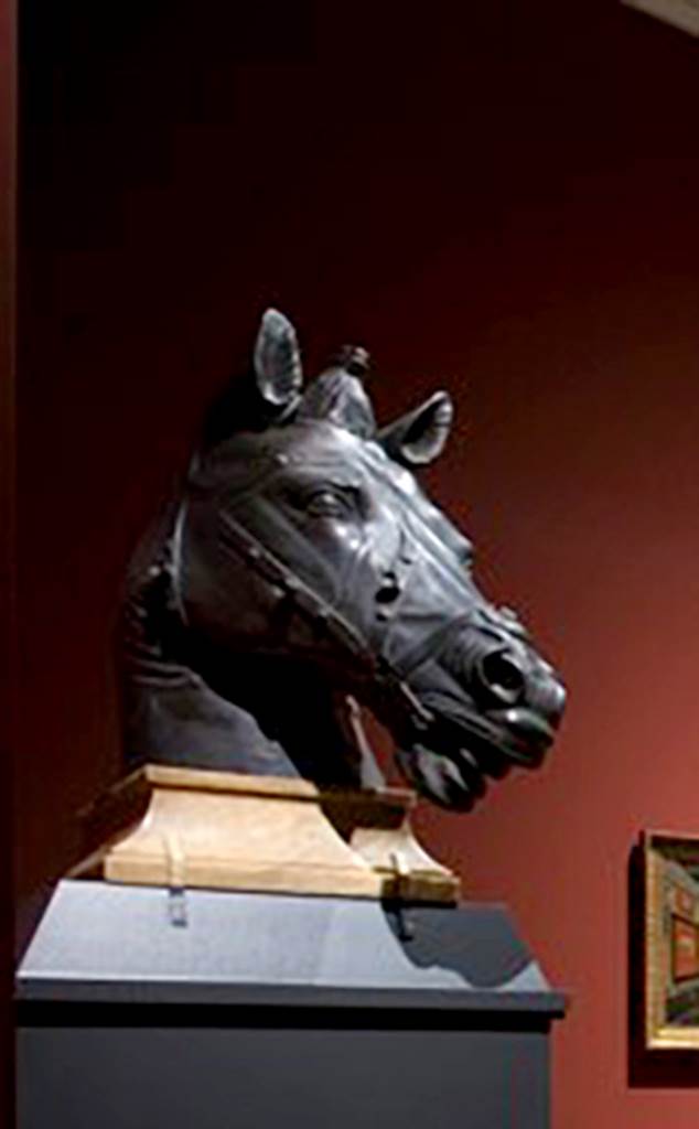 Herculaneum Theatre. 2009. Bronze horse head.
Now in Naples Archaeological Museum. Inventory number 115390.
