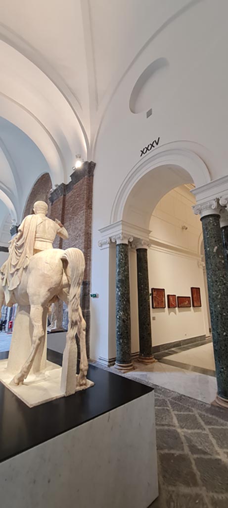 Herculaneum, public area. April 2023. 
Rear of horse belonging to second white marble statue of Marcus Nonius Balbus, inv. 6211. 
On display in “Campania Romana” gallery of Naples Archaeological Museum.
Photo courtesy of Giuseppe Ciaramella.
