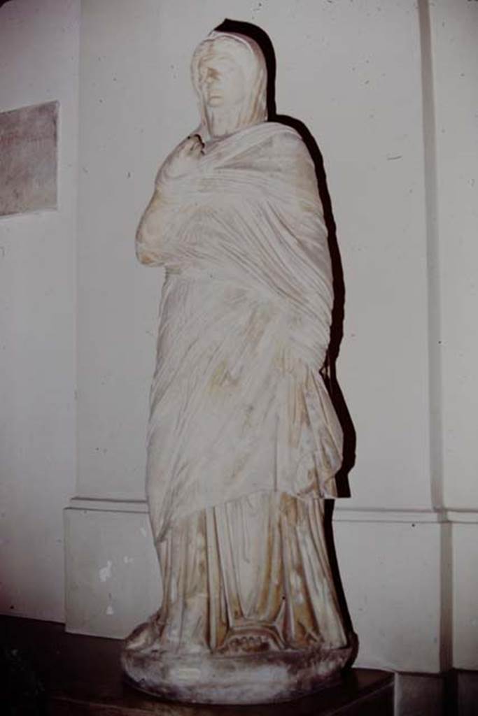 Herculaneum Theatre, 1975. Marble statue of Viciria, mother of Nonius Balbus, “found in the Basilica”.
Photo by Stanley A. Jashemski.   
Source: The Wilhelmina and Stanley A. Jashemski archive in the University of Maryland Library, Special Collections (See collection page) and made available under the Creative Commons Attribution-Non Commercial License v.4. See Licence and use details.
J75f0575
Now in Naples Archaeological Museum, inventory number 6168.

The inscription under the statue read
Viciriae A(uli) f(iliae) Archaid(i) / matri Balbi / d(ecreto) d(ecurionum)   [CIL X 1440]
Now in Naples Archaeological Museum, inventory number 6872.

According to Cooley the following inscription was found in the Basilica Noniana with the female statue –
“To Viciria Archais, daughter of Aulus, mother of Balbus, by decree of the town councillors.” (CIL X 1440)
See Cooley, A. and M.G.L., 2014. Pompeii and Herculaneum: A Sourcebook. London: Routledge, (p.190, F101).  

According to Piranesi it was found in the theatre.
See Piranesi, F, 1783. Teatro di Ercolano, Tav V Fig 1.
