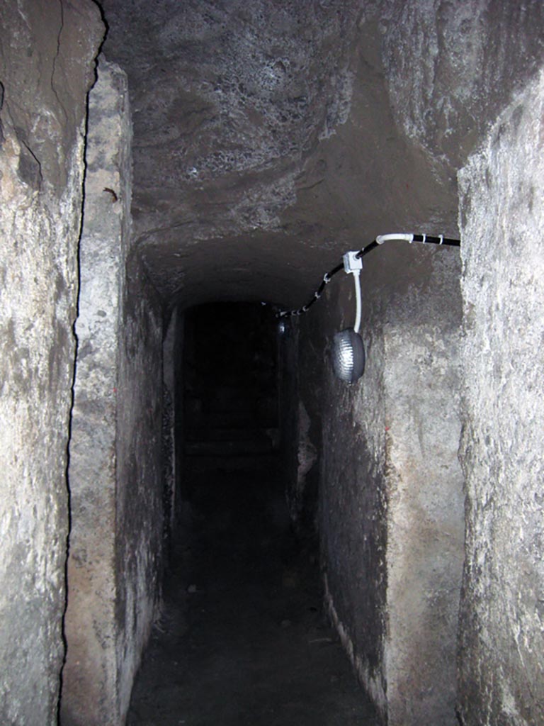 Herculaneum Theatre, July 2009. Tunnel with electricity. Photo courtesy of Sera Baker.
According to Deiss – 
“Today, the well of Prince d’Elboeuf and Alcubierre’s tunnels, crisscrossing the Theatre, remain much as they were when the explorations were finally abandoned. From them the present visitor derives the most vivid impressions of the conditions under which the Neapolitan cavamonti worked so deep underground. Mists and vapours slither like ghosts through the corridors; water and slime drip from the ceilings and walls; the air is dank, bone-chilling.
Even with electric lights the tunnels disappear abruptly into the mysterious sepulchral darkness of twenty centuries.”
Deiss, in his Author’s Note, makes a point of thanking the custodians, who were unfailingly polite and helpful – even on the hottest days, after closing hours, and especially on the harrowing occasion when all the lights shorted out in the damp Theatre tunnels ninety feet below the surface.”.
See Deiss, J.J. (1968. Herculaneum: a city returns to the sun. London, The history Book Club, (p. x, p.137).
