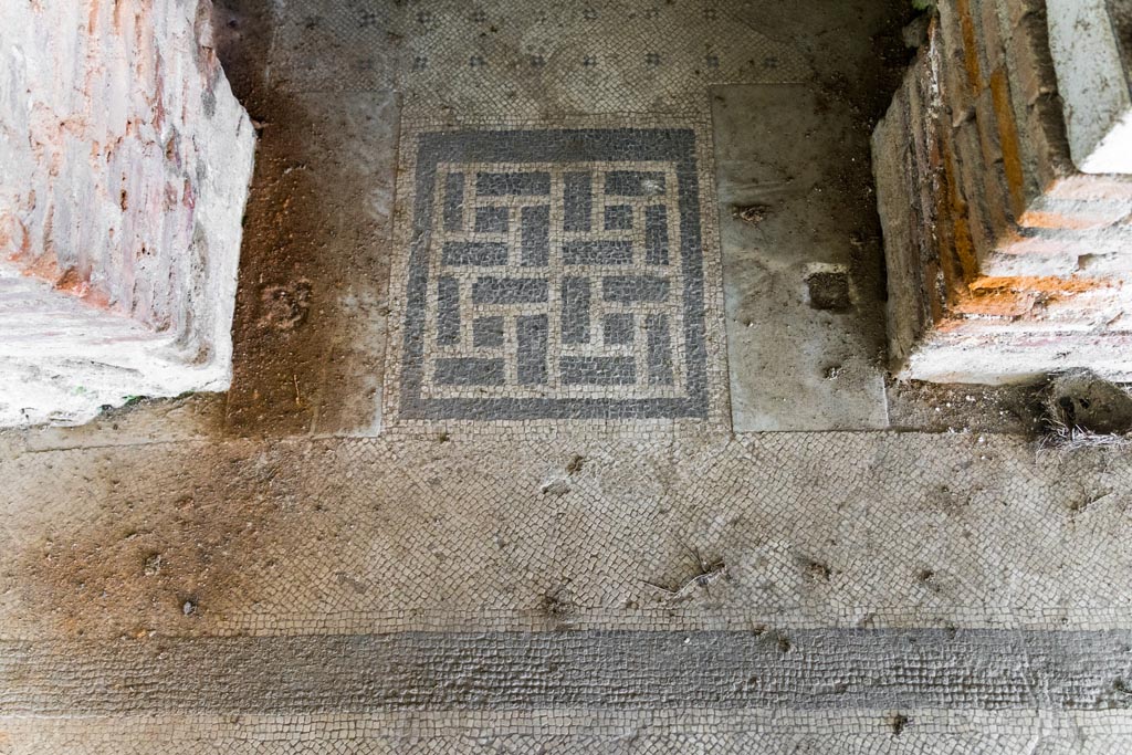 Herculaneum Villa dei Papiri. October 2023. 
Detail of mosaic flooring in doorway to corridor (t). Photo courtesy of Johannes Eber. 

