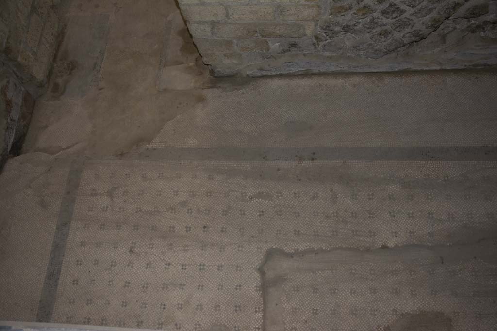 Villa dei Papiri, March 2019. 
Room (e) ala, mosaic flooring in south-east corner with doorway threshold into corridor (h), upper left.
Foto Annette Haug, ERC Grant 681269 DÉCOR.
