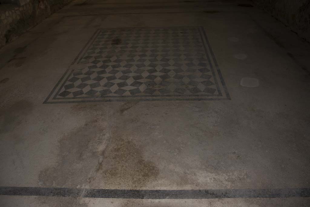 Villa dei Papiri, March 2019. Room l (L), detail of mosaic in triclinium.
Foto Annette Haug, ERC Grant 681269 DÉCOR.
