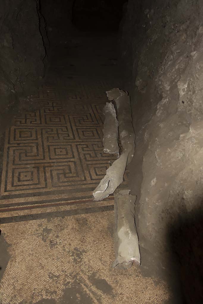 Villa dei Papiri, March 2019. Mosaic floor in Bourbon tunnel. 
Foto Annette Haug, ERC Grant 681269 DÉCOR.

