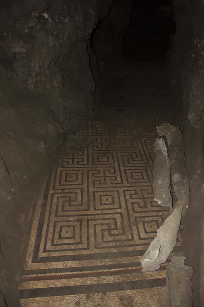 Villa dei Papiri, March 2019. Detail of mosaic floor in Bourbon tunnel. 
Foto Annette Haug, ERC Grant 681269 DÉCOR.

