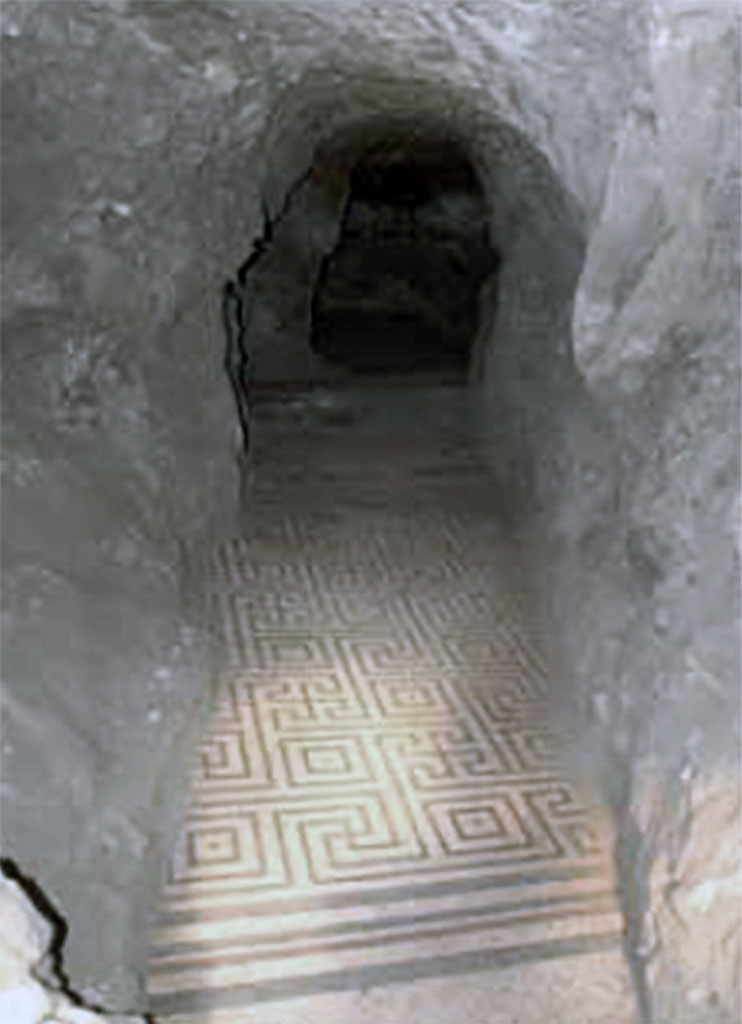 Villa dei Papiri, Herculaneum. July 2010. Looking across mosaic floor in Bourbon tunnel. 