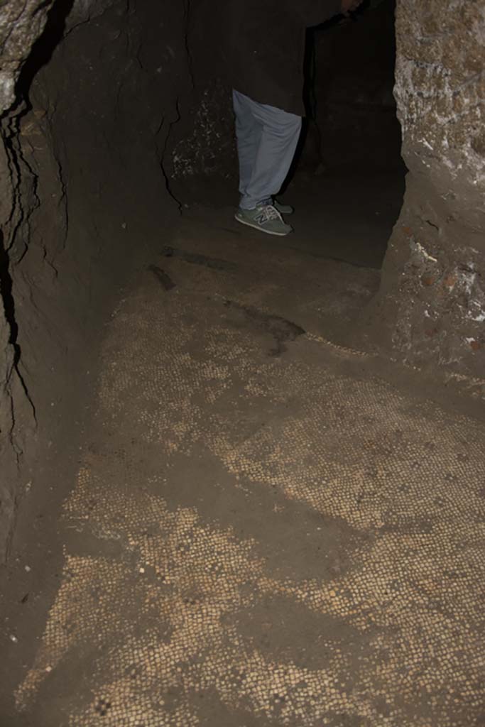 Villa dei Papiri, March 2019. Flooring in Bourbon tunnel. 
Foto Annette Haug, ERC Grant 681269 DÉCOR.
