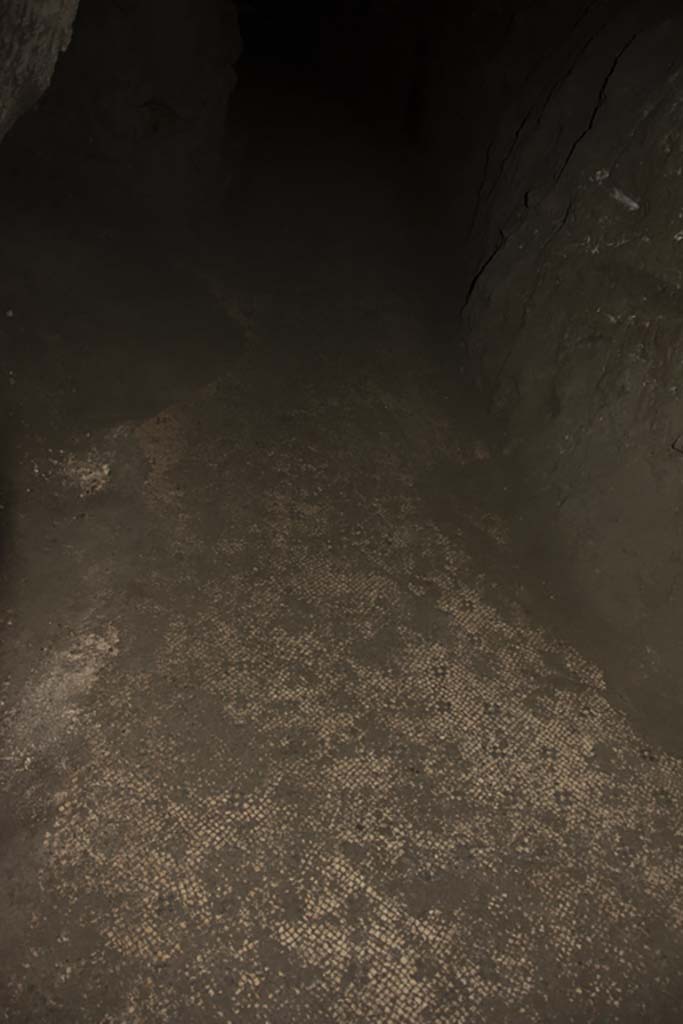Villa dei Papiri, March 2019. Flooring in Bourbon tunnel.
Foto Annette Haug, ERC Grant 681269 DÉCOR.
