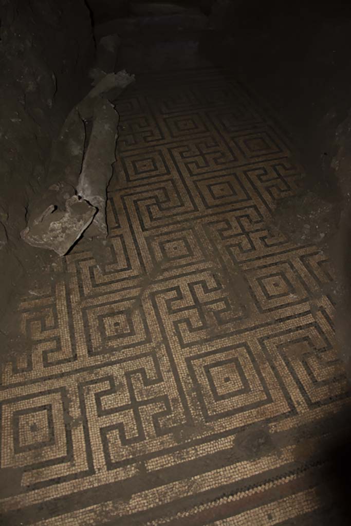 Villa dei Papiri, March 2019. Flooring in Bourbon tunnel. 
Foto Annette Haug, ERC Grant 681269 DÉCOR.
