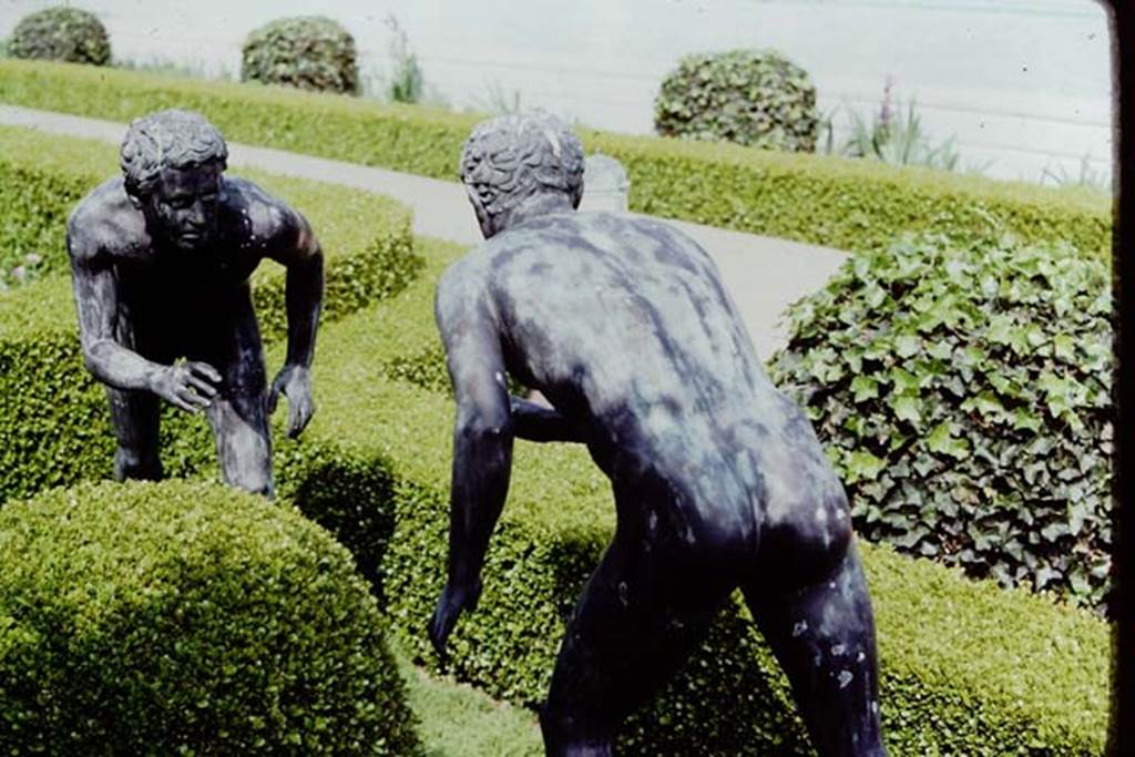 Getty Villa, Malibu, Spring 1982. Reproduction bronze statues of wrestlers. Photo by Stanley A. Jashemski.   
Source: The Wilhelmina and Stanley A. Jashemski archive in the University of Maryland Library, Special Collections (See collection page) and made available under the Creative Commons Attribution-Non Commercial License v.4. See Licence and use details.
J80f0418

