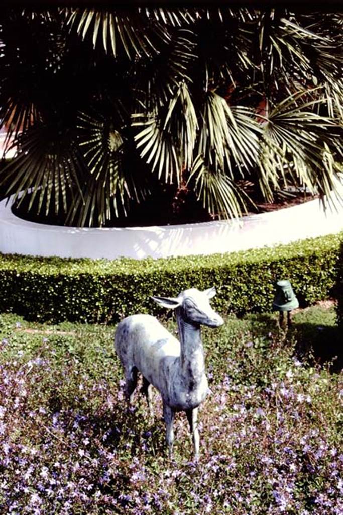 Getty Villa, Malibu, Spring 1982. Reproduction statue of faun in garden area. Photo by Stanley A. Jashemski.   
Source: The Wilhelmina and Stanley A. Jashemski archive in the University of Maryland Library, Special Collections (See collection page) and made available under the Creative Commons Attribution-Non Commercial License v.4. See Licence and use details.
J80f0429
