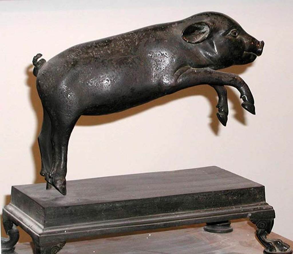 Villa dei Papiri, Herculaneum. Bronze statue of a pig or boar. Found in 1756, between the east portico and the pond.
Now in Naples Archaeological Museum. Inventory number 4893.
