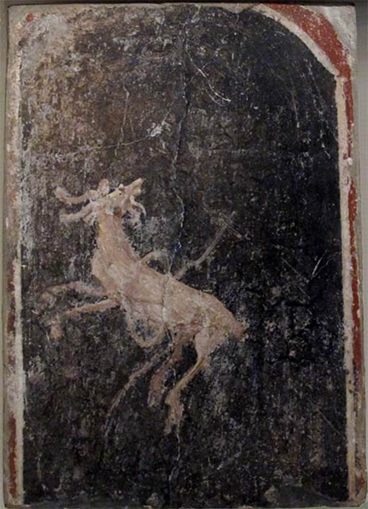 Villa dei Papiri, Herculaneum. Fresco of goat.
Now in Naples Archaeological Museum. Inventory number 8806. 
