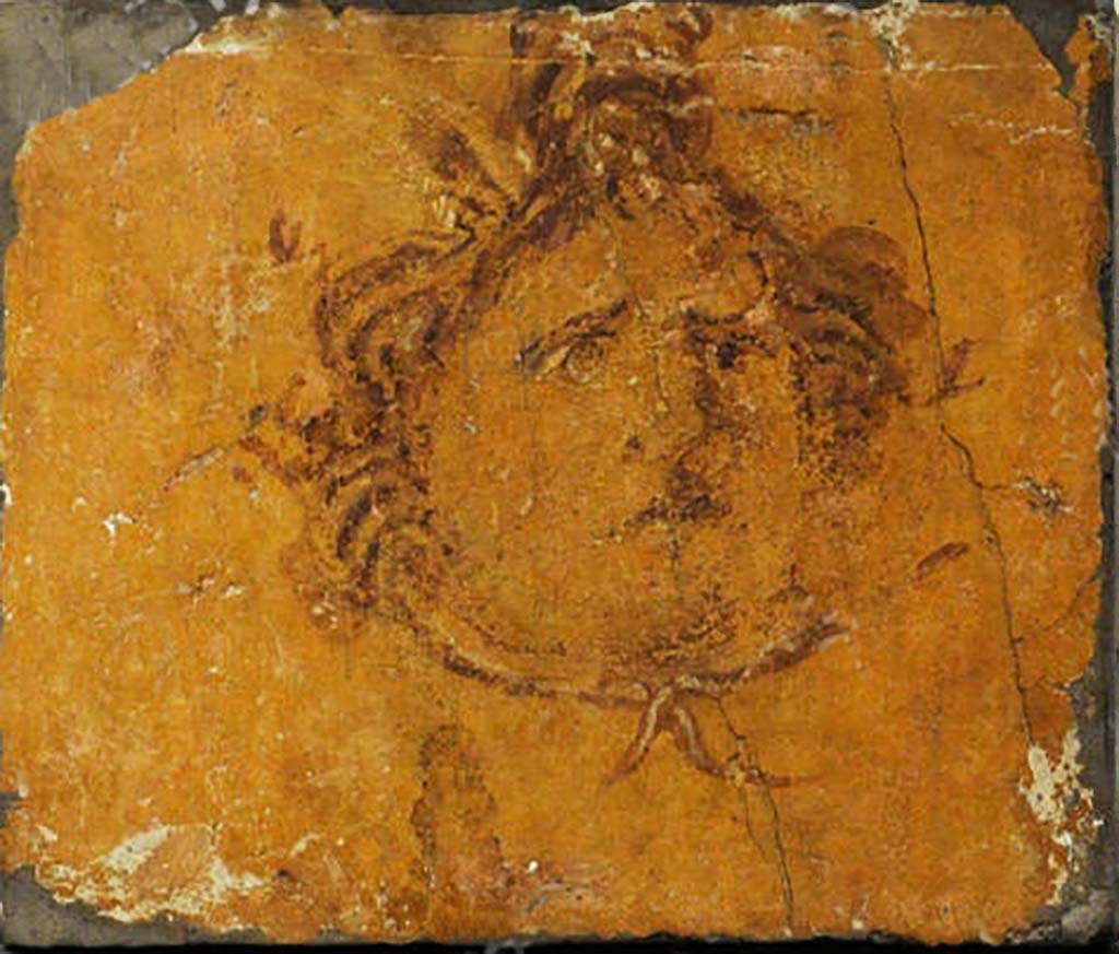Villa dei Papiri, Herculaneum. Fresco of Medusa head.
Now in Naples Archaeological Museum. Inventory number 8821C.
